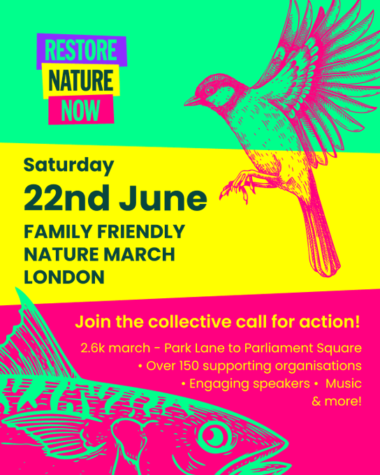 poster or flyer advertising event Central London march: Restore Nature Now!