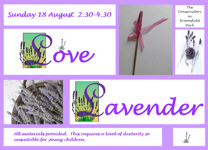 poster or flyer advertising event Broomfield Conservatory open - with special activity - Love Lavender