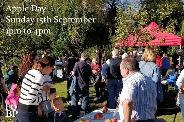 202409 apple day in broomfield orchard