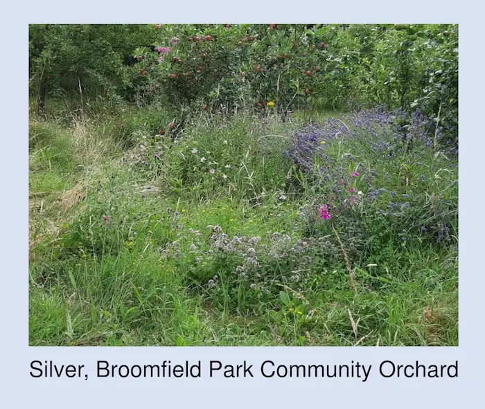 EinB Community Orchard 002