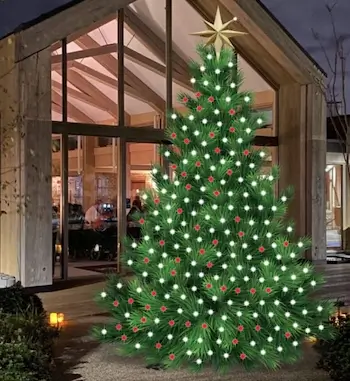 christmas tree outside noahs ark childrens hospice 1