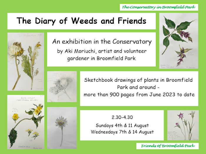 poster or flyer advertising event Art exhibition: The Diary of Weeds and Friends