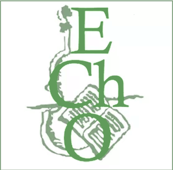 enfield chamber orchestra logo