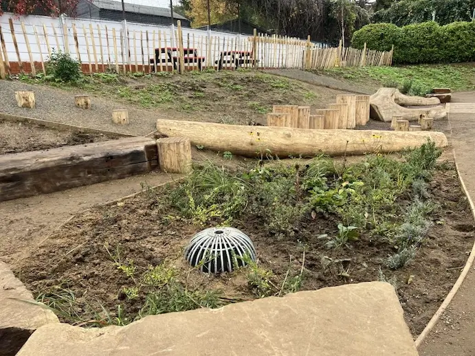 new rain garden at hazelwood primary school 1