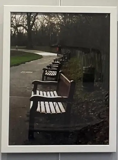 photo of benches in a park by pete abernethy 1